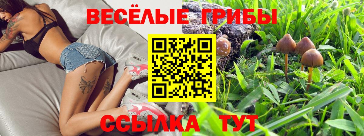 Галлюциногенные грибы Psilocybine cubensis  Вход с VPN  Губкинский 